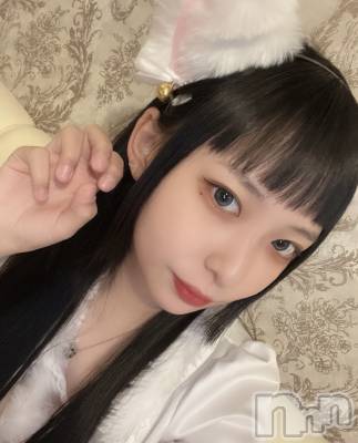 ʥå륺С󥻥ץȥե ˤޤ(󥻥ץȥե˥ޥ륭奦ǥ) (19)1223ֲ̥֥񤤤Ƥˤ󡪡