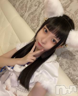 ʥå륺С󥻥ץȥե ˤޤ(󥻥ץȥե˥ޥ륭奦ǥ) (19)13̥֥֤ͤͤयޡ