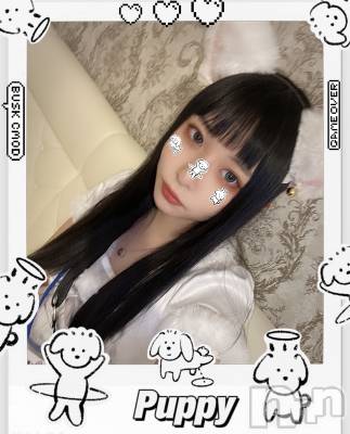 ʥå륺С󥻥ץȥե ˤޤ(󥻥ץȥե˥ޥ륭奦ǥ) (19)16̥֥֤ˤ㡼