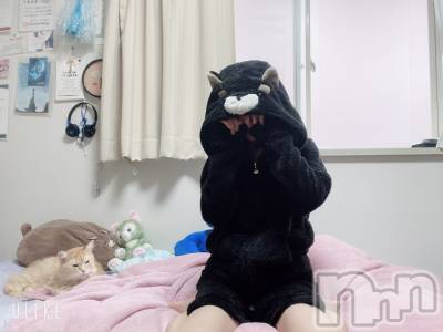 ʥå륺С󥻥ץȥե ˤޤ(󥻥ץȥե˥ޥ륭奦ǥ) (19)113̥֥ѿȡ