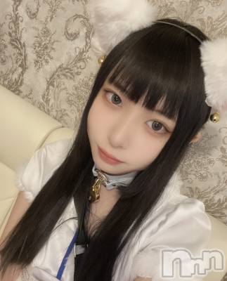 ʥå륺С󥻥ץȥե ˤޤ(󥻥ץȥե˥ޥ륭奦ǥ) (19)122ֿ̥֥ߤˤ