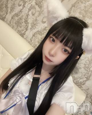 ʥå륺С󥻥ץȥե ˤޤ(󥻥ץȥե˥ޥ륭奦ǥ) (19)21̥֥ʣ