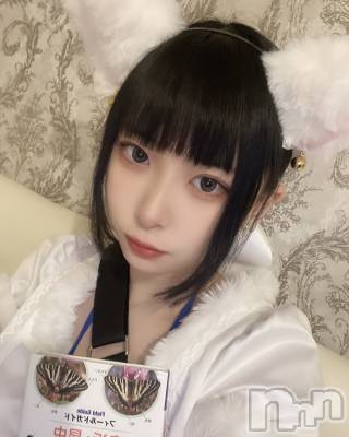 ʥå륺С󥻥ץȥե ˤޤ(󥻥ץȥե˥ޥ륭奦ǥ) (19)25̥֥ٶ