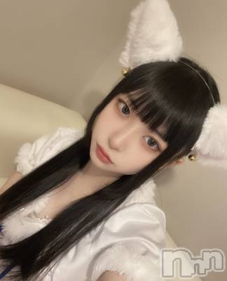ʥå륺С󥻥ץȥե ˤޤ(󥻥ץȥե˥ޥ륭奦ǥ) (19)26ֲ̥֥İ...