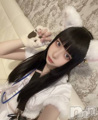 ʥå륺С󥻥ץȥե ˤޤ(󥻥ץȥե˥ޥ륭奦ǥ) (19)215ֳ̥֥ڤäˤ