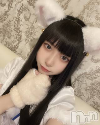 ʥå륺С󥻥ץȥե ˤޤ(󥻥ץȥե˥ޥ륭奦ǥ) (19)216ֲ̥֥񤤤ƤʤΤˤ㡩