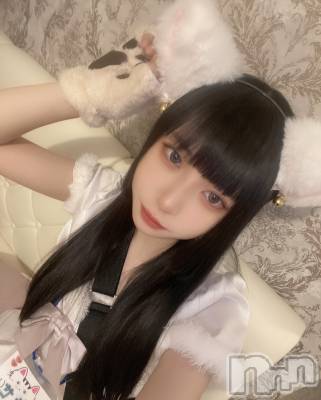 ʥå륺С󥻥ץȥե ˤޤ(󥻥ץȥե˥ޥ륭奦ǥ) (19)221̥֥֤ǤȤǤ