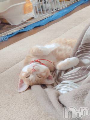 ʥå륺С󥻥ץȥե ˤޤ(󥻥ץȥե˥ޥ륭奦ǥ) (19)35̥֥֤٤ߤƤ餦ˤ...
