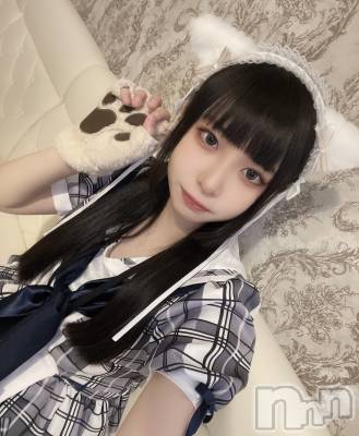 ʥå륺С󥻥ץȥե ˤޤ(󥻥ץȥե˥ޥ륭奦ǥ) (19)312̥֥繥Ǥ