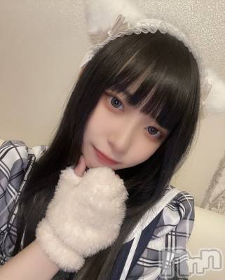 ʥå륺С󥻥ץȥե ˤޤ(󥻥ץȥե˥ޥ륭奦ǥ) (19)319̥֥֎܎܎ʤΤ⤫襤...