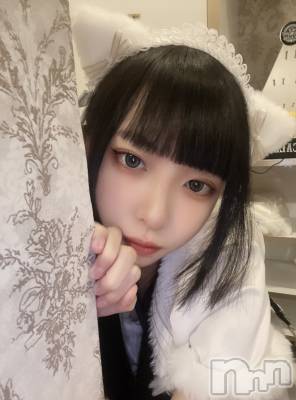 ʥå륺С󥻥ץȥե ˤޤ(󥻥ץȥե˥ޥ륭奦ǥ) (19)330̥֥|-)ġ