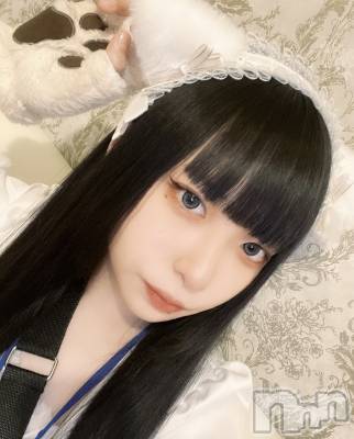 ʥå륺С󥻥ץȥե ˤޤ(󥻥ץȥե˥ޥ륭奦ǥ) (19)46̥֥֤ͤϱǤ