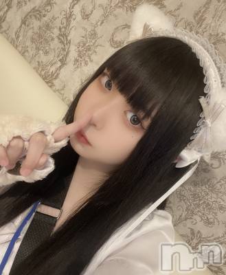 ʥå륺С󥻥ץȥե ˤޤ(󥻥ץȥե˥ޥ륭奦ǥ) (19)48̥֥(/`) ̡