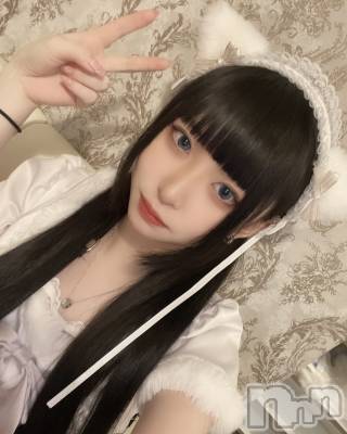ʥå륺С󥻥ץȥե ˤޤ(󥻥ץȥե˥ޥ륭奦ǥ) (19)51̥֥֤ʤʤΡ