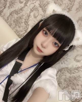 ʥå륺С󥻥ץȥե ˤޤ(󥻥ץȥե˥ޥ륭奦ǥ) (19)52̥֥֥ϡեĥʤΡ