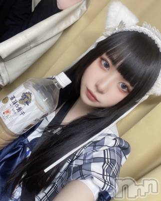 ʥå륺С󥻥ץȥե ˤޤ(󥻥ץȥե˥ޥ륭奦ǥ) (19)55̥֥ʤΡ