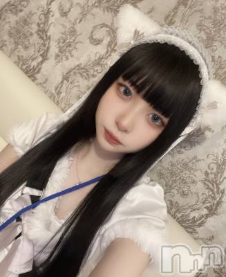 ʥå륺С󥻥ץȥե ˤޤ(󥻥ץȥե˥ޥ륭奦ǥ) (19)59̥֥(/`) ̡