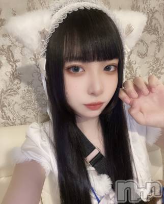 ʥå륺С󥻥ץȥե ˤޤ(󥻥ץȥե˥ޥ륭奦ǥ) (19)521̥֥äȤʤΤˤ㡪