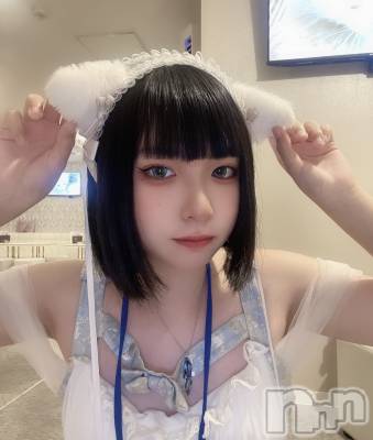 ʥå륺С󥻥ץȥե ˤޤ(󥻥ץȥե˥ޥ륭奦ǥ) (19)817̥֥֤ˤ٤ʤΤˤ㡪
