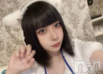 ʥå륺С󥻥ץȥե ˤޤ(󥻥ץȥե˥ޥ륭奦ǥ) (20)117̥֥äˤ🐱