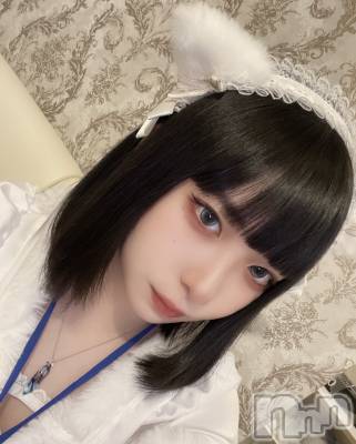 ʥå륺С󥻥ץȥե ˤޤ(󥻥ץȥե˥ޥ륭奦ǥ) (20)1114̥֥ĥǭǤ🐱