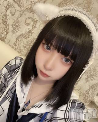 ����������ʥå��������륺�С����󥻥ץȥ��ե� ���ˤޤ����(���󥻥ץȥ��ե����˥ޥ륭�奦�ǥ�) ����(20)��12��7���̥�֥����֥����ѥ���ä��Τˤ㡪��