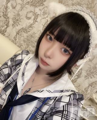 ����������ʥå��������륺�С����󥻥ץȥ��ե� ���ˤޤ����(���󥻥ץȥ��ե����˥ޥ륭�奦�ǥ�) ����(20)��12��10���̥�֥���������������(��߹꒳​߹ )��