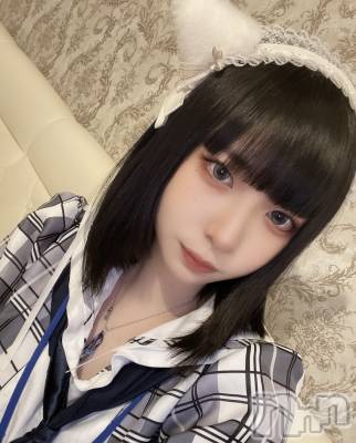 ����������ʥå��������륺�С����󥻥ץȥ��ե� ���ˤޤ����(���󥻥ץȥ��ե����˥ޥ륭�奦�ǥ�) ����(20)��12��13���̥�֥����֥����ĤǤ̤��̤��������ˤ��🐈��