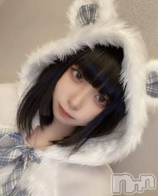 ����������ʥå��������륺�С����󥻥ץȥ��ե� ���ˤޤ����(���󥻥ץȥ��ե����˥ޥ륭�奦�ǥ�) ����(20)��12��24���̥�֥����֥��ꥹ�ޥ����٥��1����🎄��