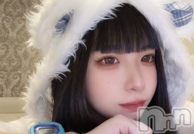 ����������ʥå��������륺�С����󥻥ץȥ��ե� ���ˤޤ����(���󥻥ץȥ��ե����˥ޥ륭�奦�ǥ�) ����(20)��12��25���̥�֥�����🎁���٥��2����🎄��