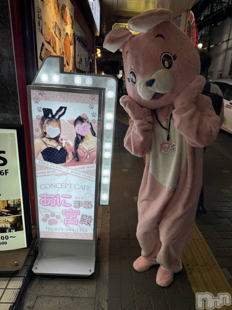 ʥå륺С󥻥ץȥե ˤޤ(󥻥ץȥե˥ޥ륭奦ǥ) Ӥ1019̥֥֤̾ϡڥӤ🐰ྀི