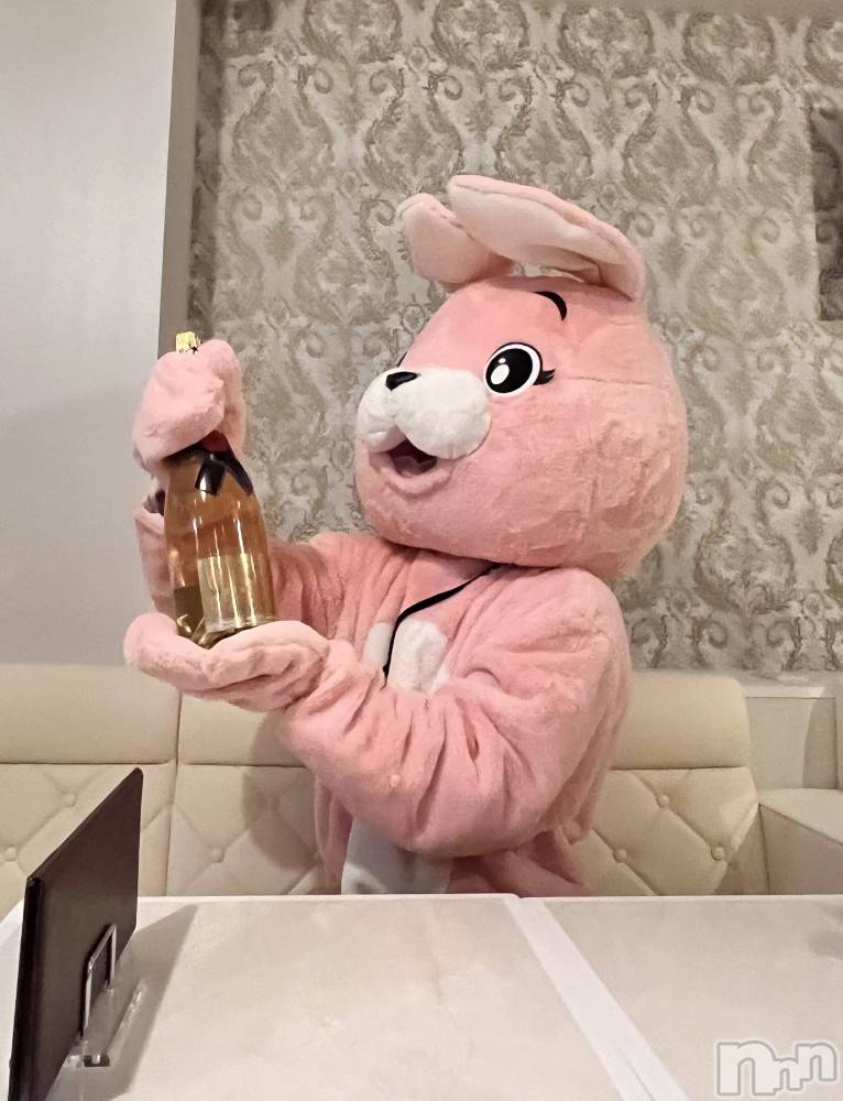 ʥå륺С󥻥ץȥե ˤޤ(󥻥ץȥե˥ޥ륭奦ǥ) Ӥ1028̥֥֥ӤϥӤǤ‼️🐰ྀི✨️