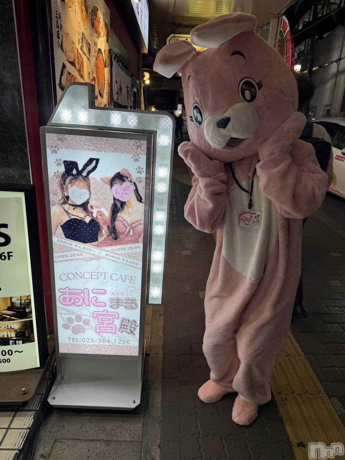 ʥå륺С󥻥ץȥե ˤޤ(󥻥ץȥե˥ޥ륭奦ǥ) 2024ǯ1019̥֥֤̾ϡڥӤ🐰ྀི