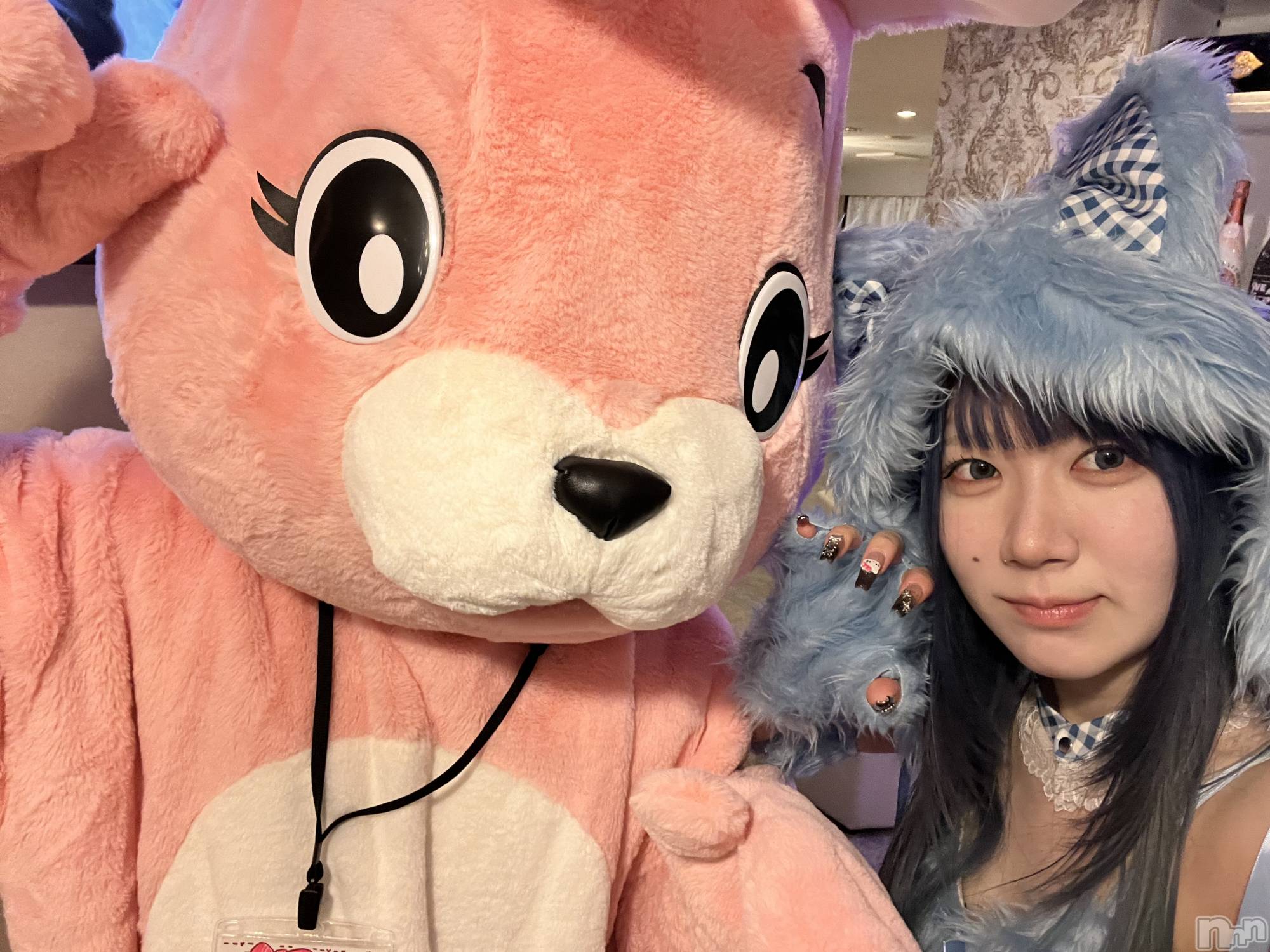 ʥå륺С󥻥ץȥե ˤޤ(󥻥ץȥե˥ޥ륭奦ǥ) 2024ǯ1020̥֥֡ڥӤΤͧã🐰ྀི🐱ྀི˥ۡ