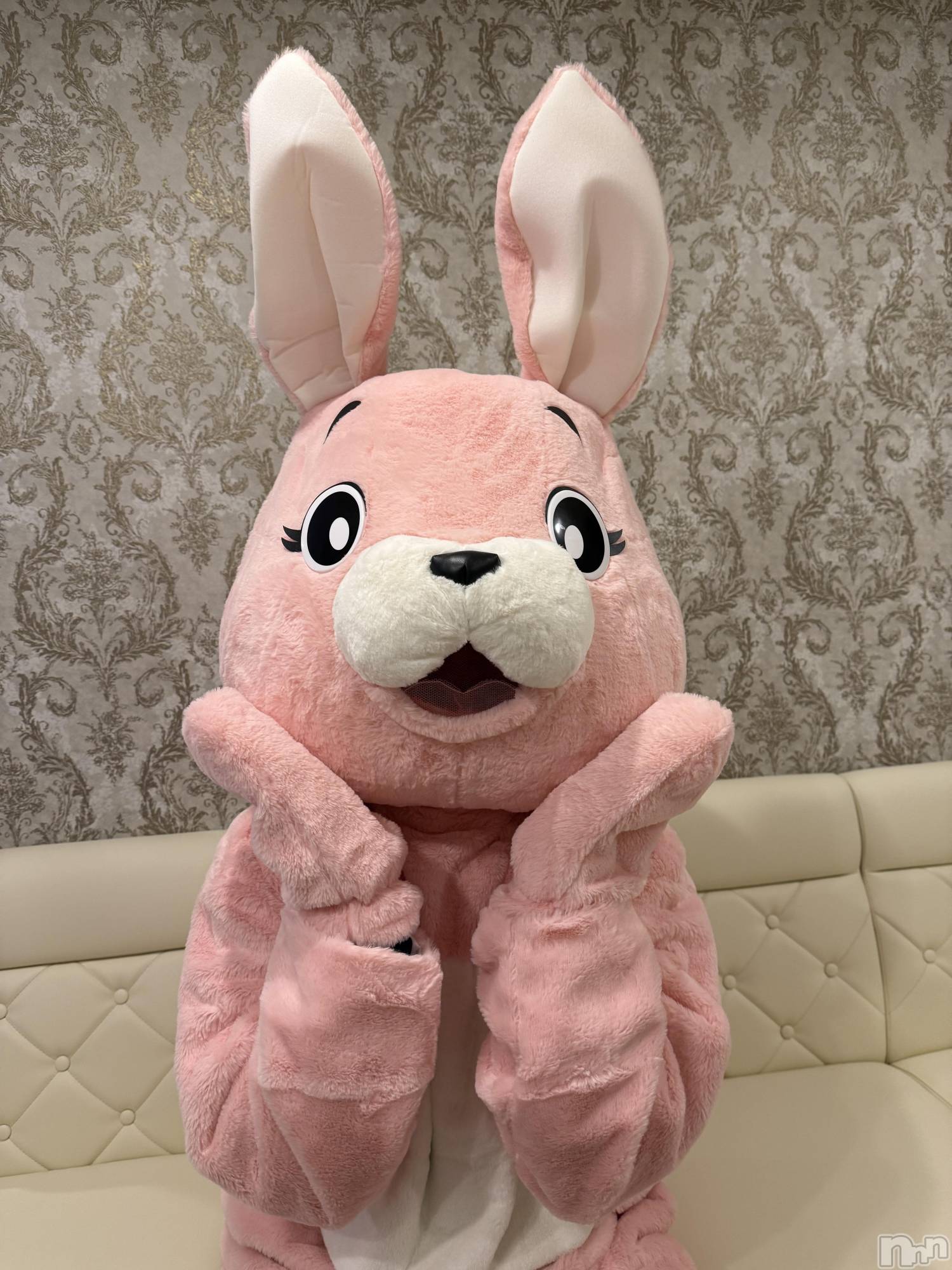 ʥå륺С󥻥ץȥե ˤޤ(󥻥ץȥե˥ޥ륭奦ǥ) 2024ǯ1018̥֥֤äΤäƤ🐰ྀི❔