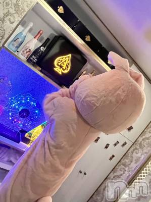 ʥå륺С󥻥ץȥե ˤޤ(󥻥ץȥե˥ޥ륭奦ǥ) Ӥ1029̥֥֥Ӥ衪🐰ྀི🐰ྀི