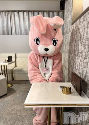ʥå륺С󥻥ץȥե ˤޤ(󥻥ץȥե˥ޥ륭奦ǥ) Ӥ1122̥֥֥Ӥˤʤ‼️🐇(ᴗ🐇)