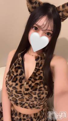 ʥå륺С󥻥ץȥե ˤޤ(󥻥ץȥե˥ޥ륭奦ǥ) ҤȤߤ1029̥֥🐆