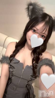 ʥå륺С󥻥ץȥե ˤޤ(󥻥ץȥե˥ޥ륭奦ǥ) ҤȤߤ1121̥֥1121 2251ʬΥ֥