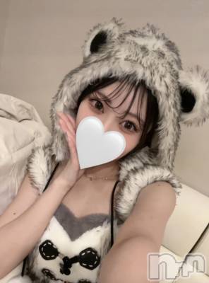 ʥå륺С󥻥ץȥե ˤޤ(󥻥ץȥե˥ޥ륭奦ǥ) ҤȤߤ1216̥֥🐻‍❄️
