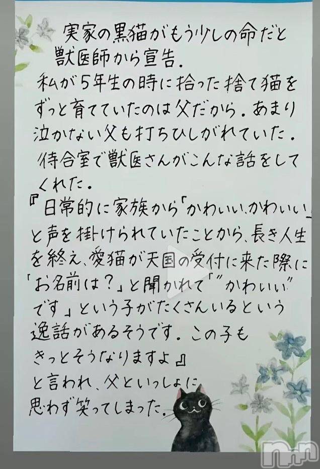 松本発ぽっちゃり癒し姫 松本店(イヤシヒメマツモトテン)【S】新海まりな(30)の2024年11月12日写メブログ「とあるお話♪」