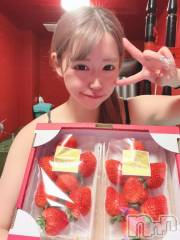 新潟ソープ新潟バニーコレクション(ニイガタバニーコレクション) メア(24)の1月15日写メブログ「✨めあフォルダ作成記念㊗️」