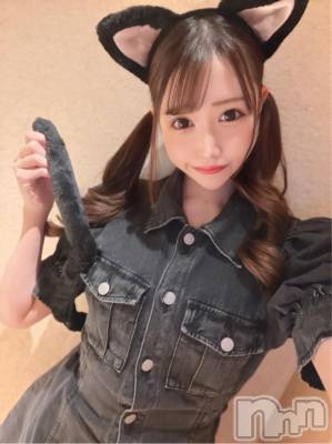 新潟ソープ 新潟バニーコレクション(ニイガタバニーコレクション) メア(24)の1月7日写メブログ「来世はお兄様の猫になる。」