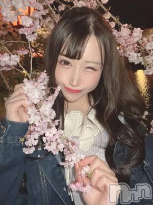 可愛い女の子＋桜って最強説ない？&#x1F338;