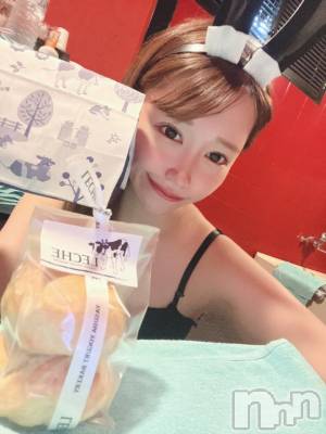 新潟ソープ 新潟バニーコレクション(ニイガタバニーコレクション) メア(23)の6月28日写メブログ「一緒だと嬉しい美味しい楽しい🐰🩷」