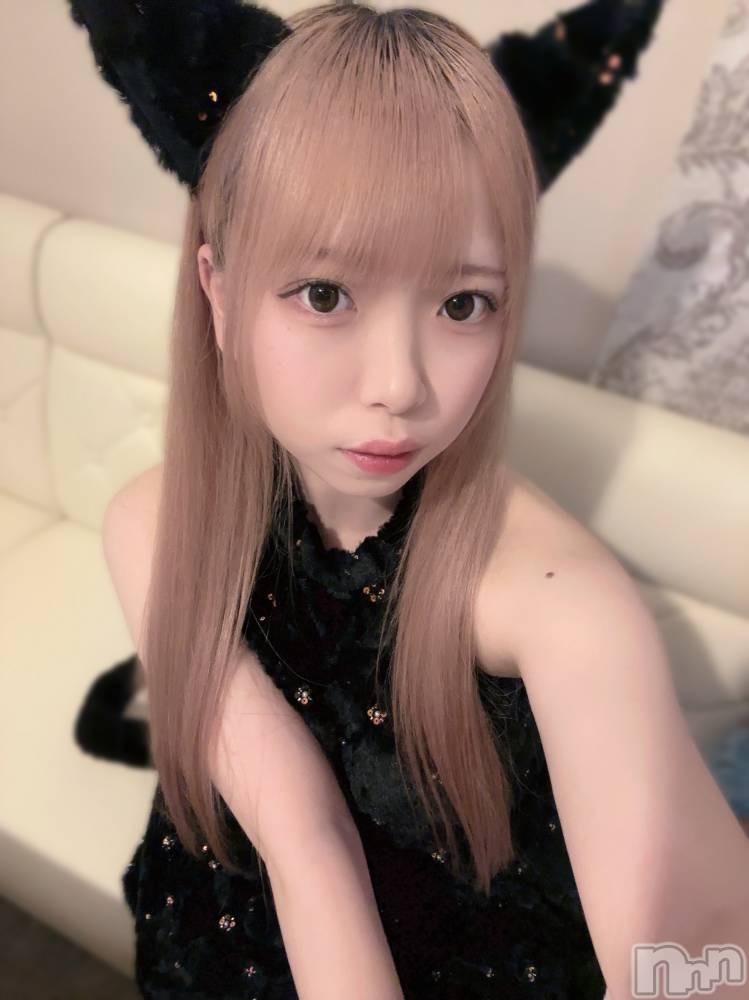 ʥå륺С󥻥ץȥե ˤޤ(󥻥ץȥե˥ޥ륭奦ǥ) 礦1020̥֥֤ͤ