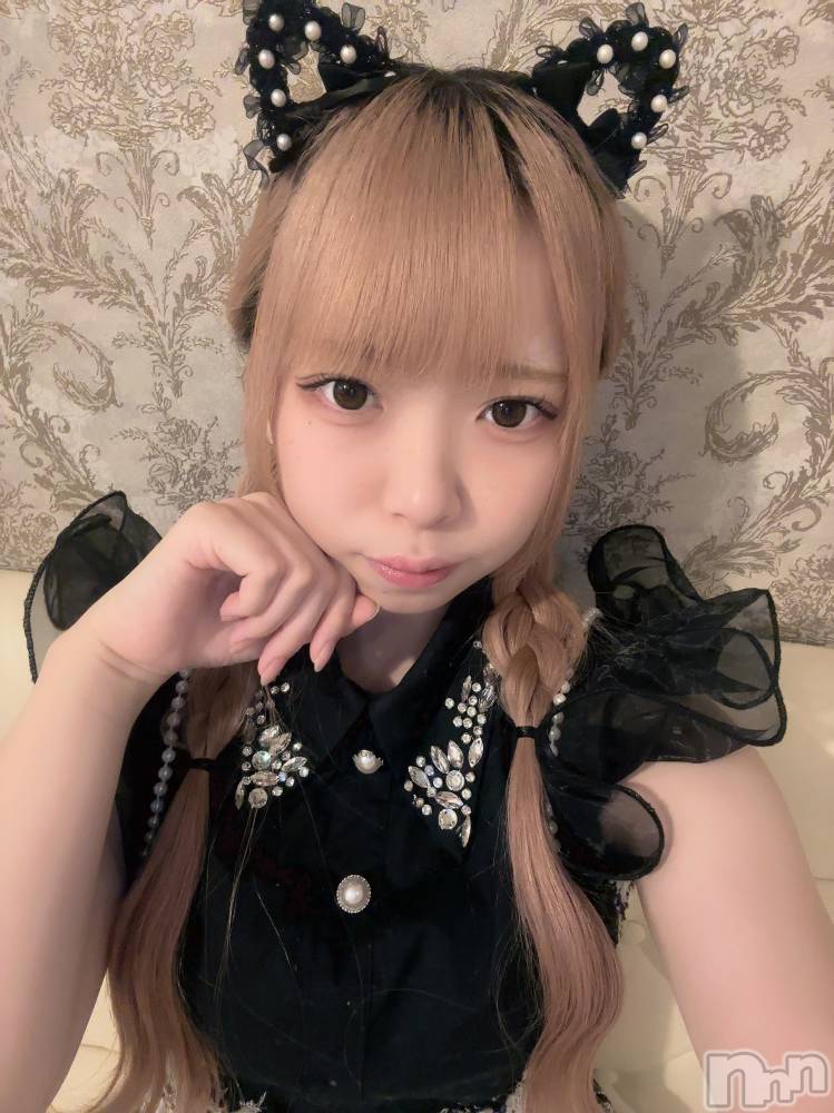 ʥå륺С󥻥ץȥե ˤޤ(󥻥ץȥե˥ޥ륭奦ǥ) 礦115̥֥115 2117ʬΥ֥