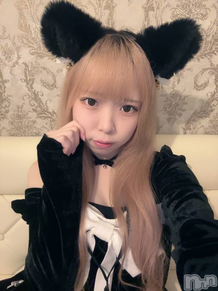 ʥå륺С󥻥ץȥե ˤޤ(󥻥ץȥե˥ޥ륭奦ǥ) 礦116̥֥116 2302ʬΥ֥