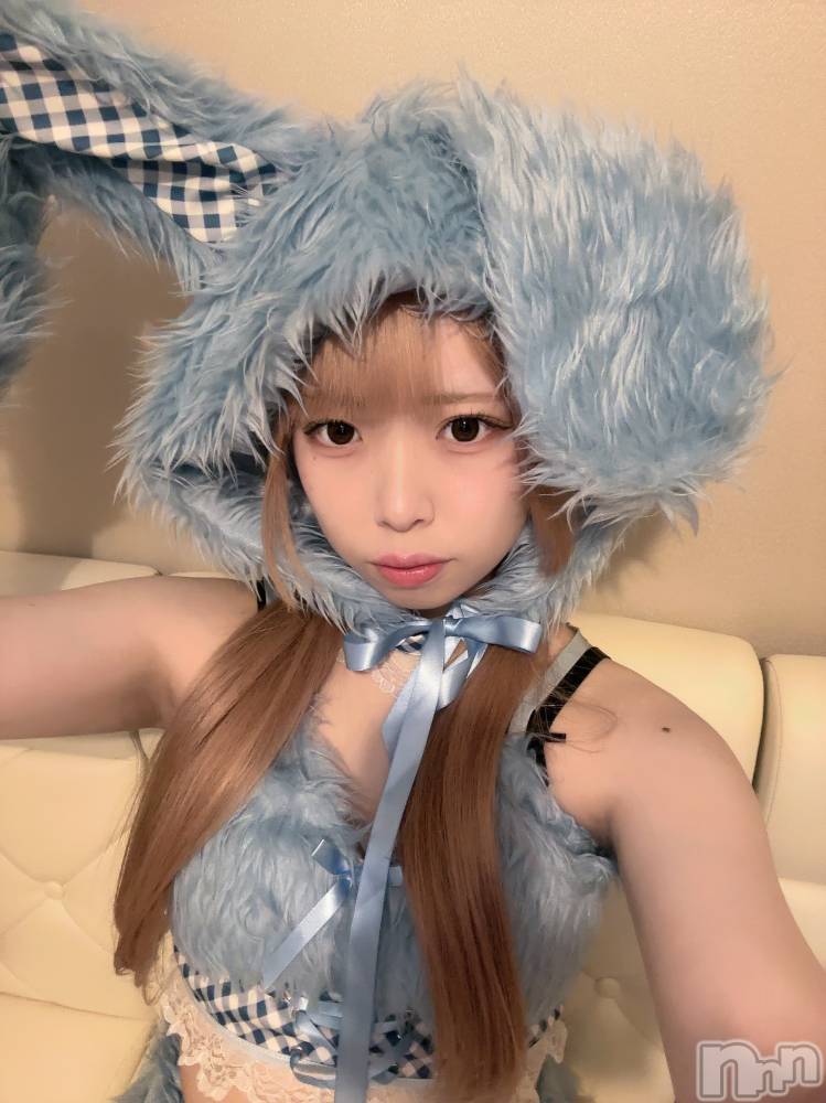 ʥå륺С󥻥ץȥե ˤޤ(󥻥ץȥե˥ޥ륭奦ǥ) 礦117̥֥117 2201ʬΥ֥