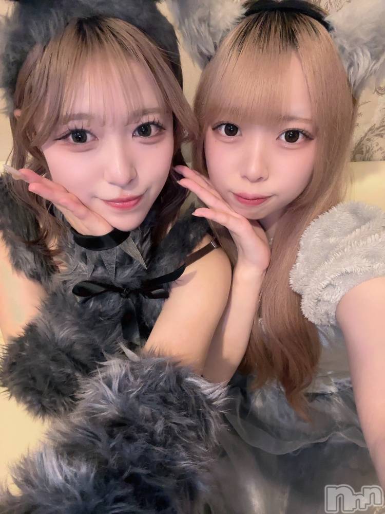 ʥå륺С󥻥ץȥե ˤޤ(󥻥ץȥե˥ޥ륭奦ǥ) 礦1120̥֥1120 2333ʬΥ֥